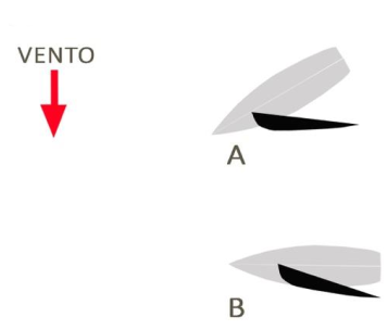 Figura della domanda