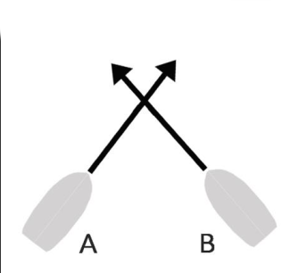 Figura della domanda