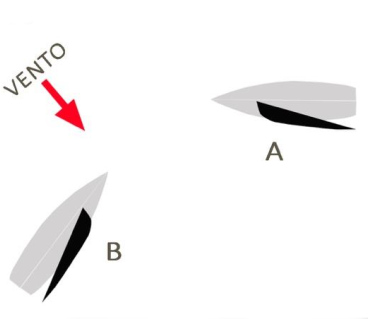 Figura della domanda