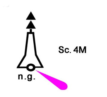 Figura della domanda